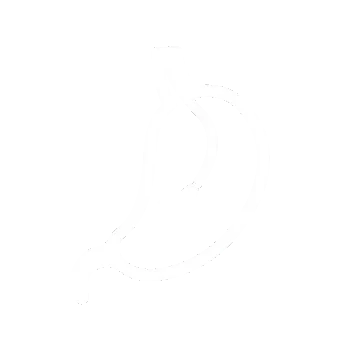 Endoskopie